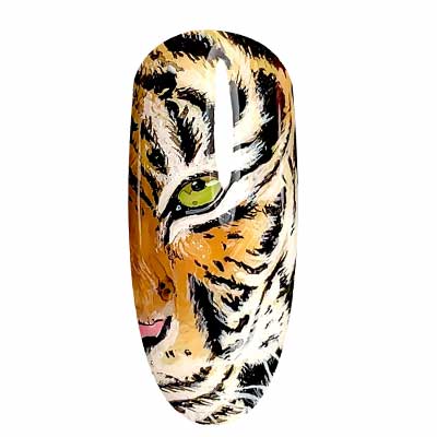 Nail art tigra